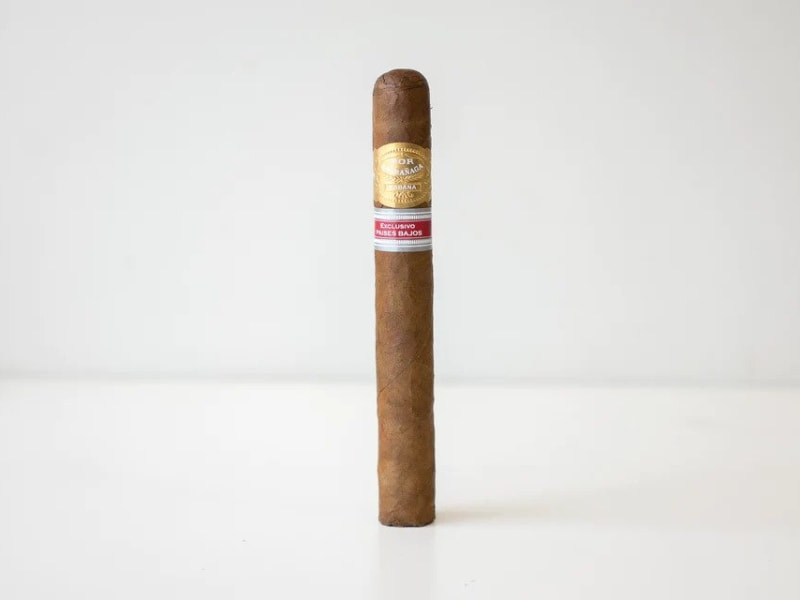 Nguồn gốc của Por Larranaga Gran Robusto Paises Bajos
